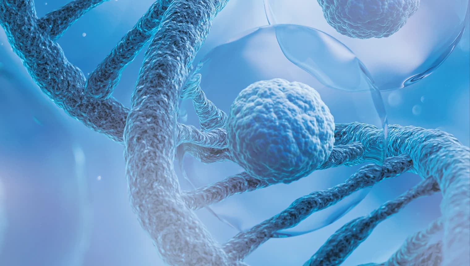 11th Impurities: Genotoxic, Nitrosamine, & Beyond Summit